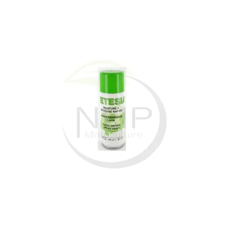 BOMBE PEINTURE VERTE ETESIA 400 ML – ET-25965 – 25965 – ET25965 – Expédié Aujourd’hui