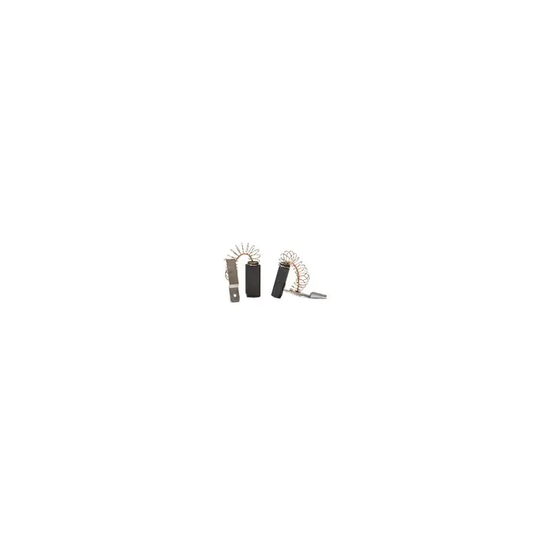 JEU DE 2 CHARBONS BOSCH 1 609 243 000 – 1609243000 – 6,3X10X21 – Livraison Gratuite