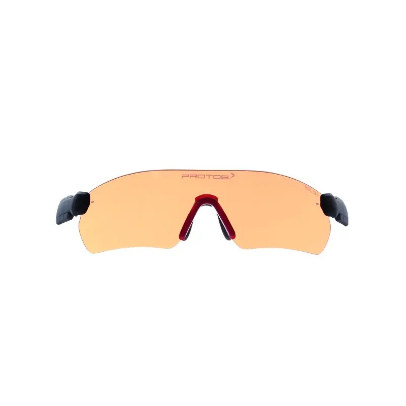 Livraison Gratuite LUNETTES DE PROTECTION ORANGE – PROTOS INTEGRAL – ARBORIST –