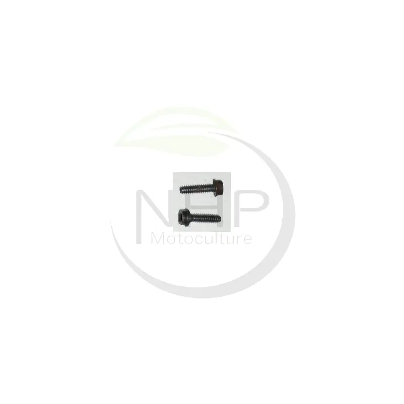 VIS FIXATION HUSQVARNA - JONSERED 503216820 - 503 21 68-20 - 5032168-20 - Pas Cher