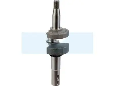 Prix Promo Vilebrequin pour moteur Briggs & Stratton (595241)