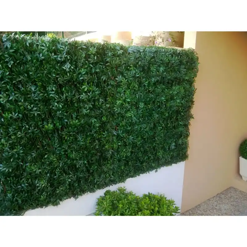Achetez Aujourd’hui Treillis feuilles de vigne vierge 1mx2m