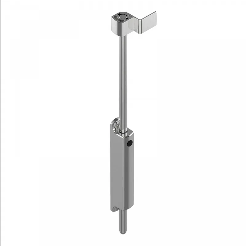 Verrou de portail en applique avec blocage intervantaux – inox brossé Commander Maintenant
