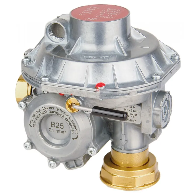 Dernier Modèle Régulateur de pression gaz B25N équerre – débit 25 m³/h – 21 mbar