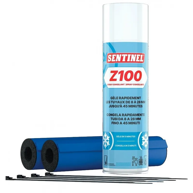 Expédié Aujourd’hui Spray aérosol congelant – Z100