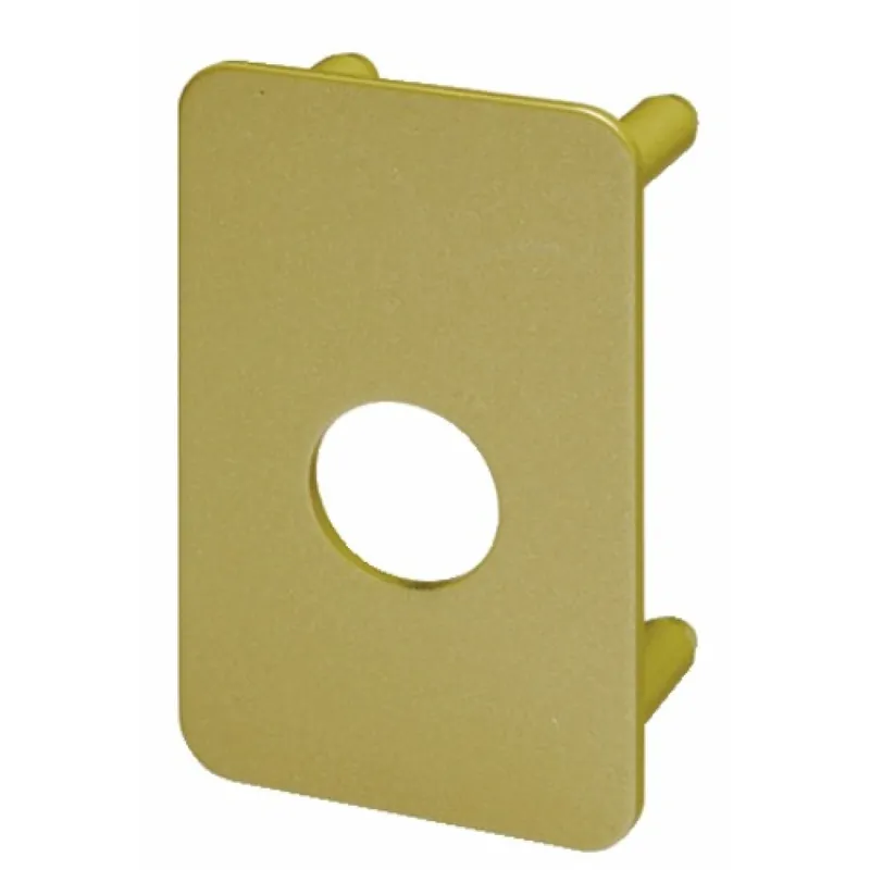 Prix Choc Contre-plaque de renfort – verrou à cylindre rond 25 mm – Radialis