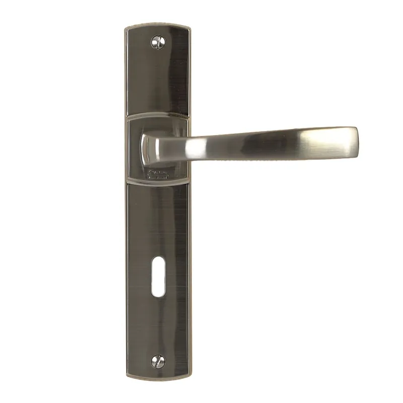 Poignées de porte sur plaques – EA 195 mm – platine – Muze Livraison Express