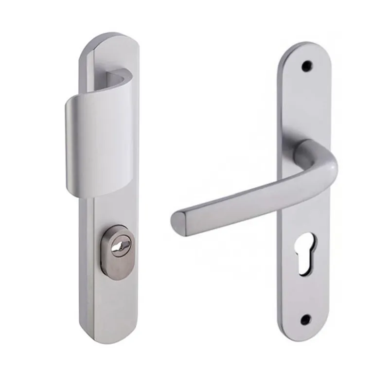 Poignées de porte palière sur plaques de sécurité – clé I – Secumax Up Authentique