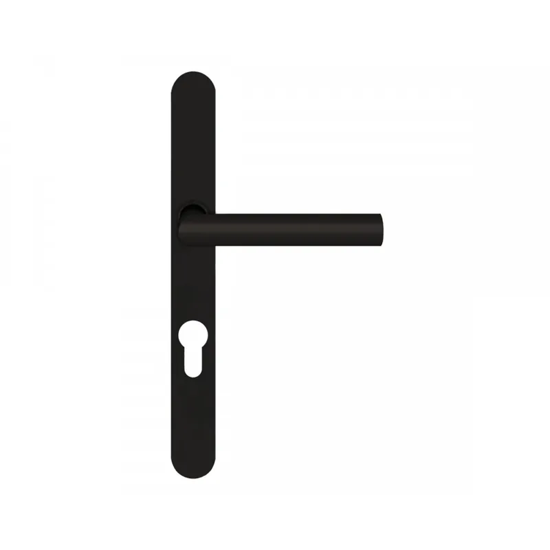 Offre Exclusive Poignées de porte sur plaque Rhodos pour porte chassis – noir