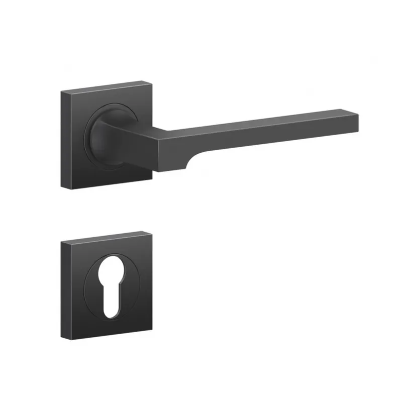 Dernier Modèle Poignées de porte sur rosaces carrées série ER 57Q Soho – noir mat
